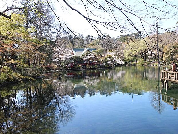 井の頭公園まで約1500m
