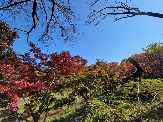 武蔵野公園まで約2300m