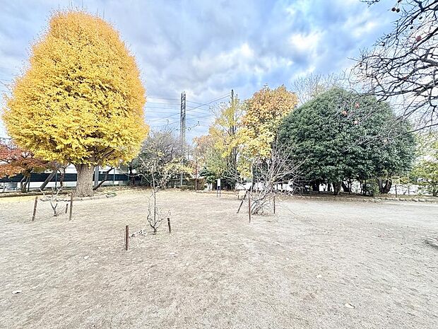 深大寺公園まで約840m