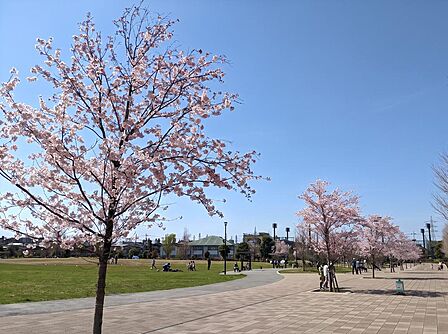 下高井戸あおぞら公園まで約850m