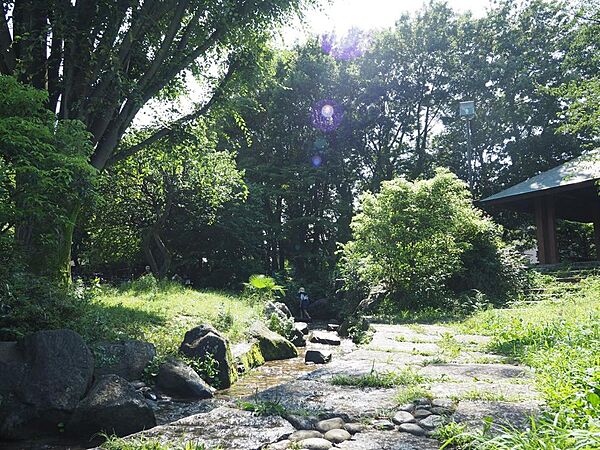関前公園まで約800m