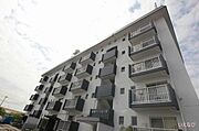 新涯マンションB 4階 築47年3ヶ月の賃貸物件