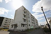 河内駅より徒歩152分 築29年 5階建の賃貸物件