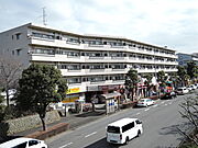 第１松沢ビルパインクレスト１番館 3階 築40年7ヶ月の賃貸物件