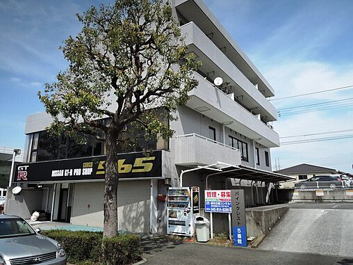 外観