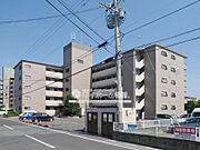 シャトレ鍋島３ 1階 築31年5ヶ月の賃貸物件