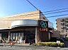 周辺：ライフ上池台店（355m）