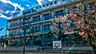 周辺：大田区立池雪小学校（437m）