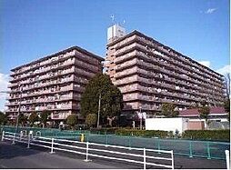 ネオハイツ江戸川台A棟