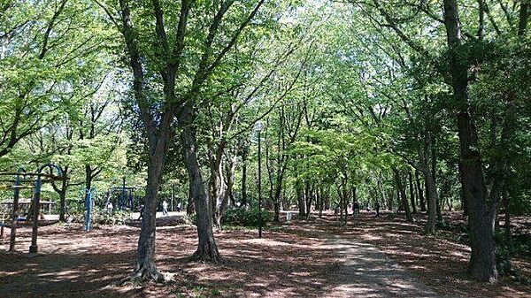 東深井地区公園（古墳公園）公園内の古墳群は要チェック！市民プールもあります！森の図書館併設（流山おもちゃ病院や読み聞かせなど各種イベントが開催されます。） 570m