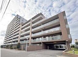 エクセレントプレイスドリームマークス