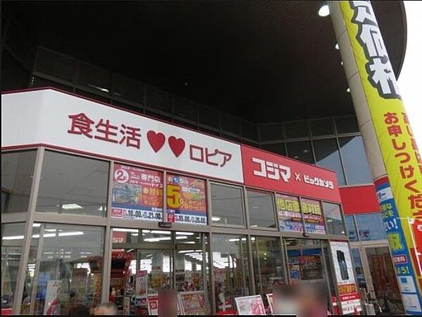 ロピア 柏コジマ店同じ敷地内にはニトリもあります。 1070m