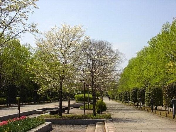 千葉県立柏の葉公園夏の高校野球県予選大会や、ラグビーワールドカップ日本開催時にはオールブラックスの練習拠点となりました！広大な公園は憩いの場としてはもちろんのこと、時々イベントを開催しているのでい…