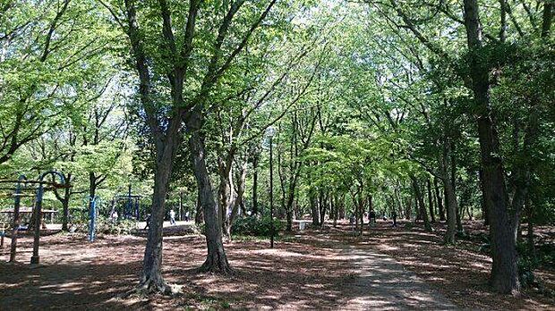 東深井地区公園(古墳公園)公園内の古墳群は要チェック!市民プールもあります!森の図書館併設(流山おもちゃ病院や読み聞かせなど各種イベントが開催されます。) 1150m