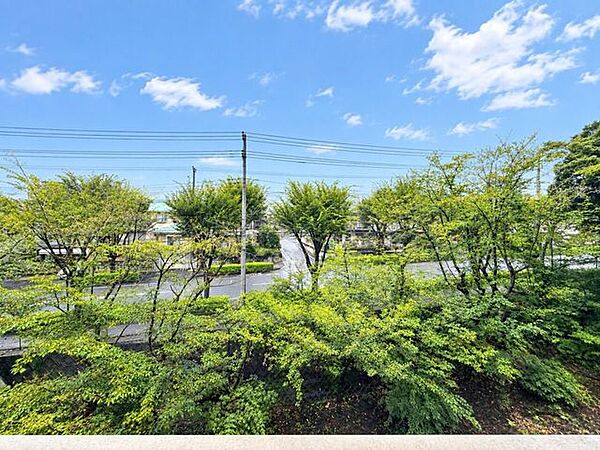 春には満開の桜を望むことができます♪