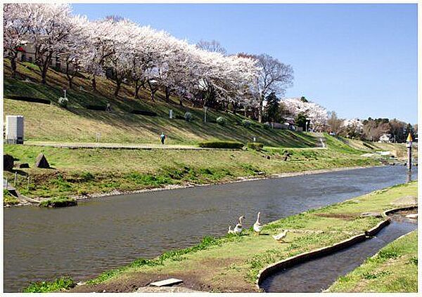 運河水辺公園 700m