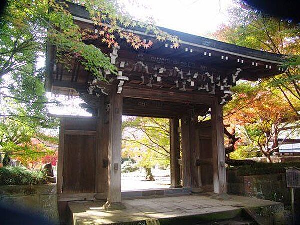 東漸寺東漸寺。秋の紅葉も風情がありますが、春はしだれ桜が大変綺麗です。幼稚園などが隣接しているので、時々イベントが開催されます。運が良ければ！？猫の集会にも出会えます。 720m