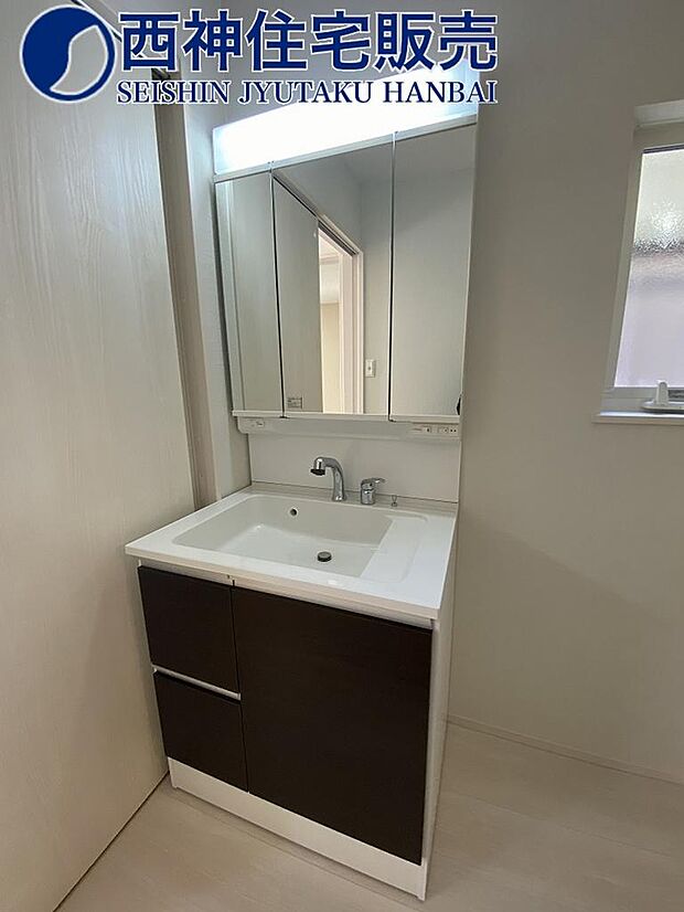 洗面化粧台は三面鏡付きのハンドシャワー水栓です。下部には収納もございます。現地（2024年2月2日）撮影