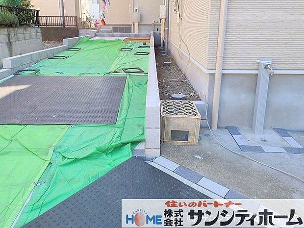 撮影日(2025-03-10 00:00:00)