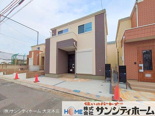 撮影日(2025-03-11 00:00:00)