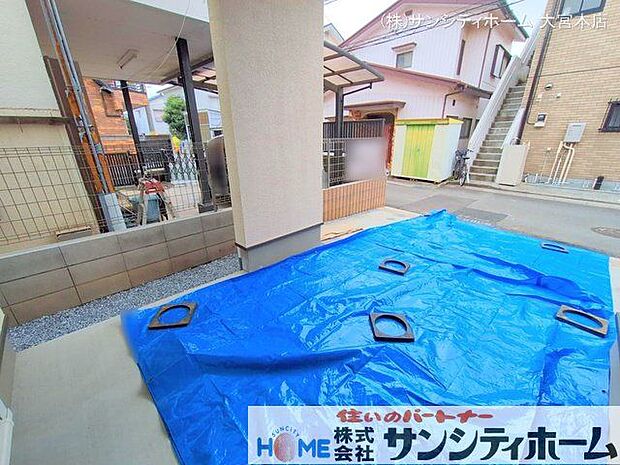 撮影日(2025-03-11 00:00:00)