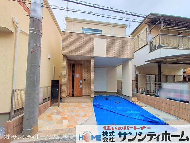 撮影日(2025-03-11 00:00:00)