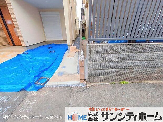 撮影日(2025-03-11 00:00:00)