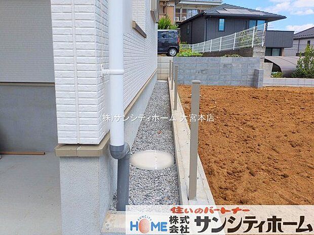 撮影日(2025-09-02 00:00:00)