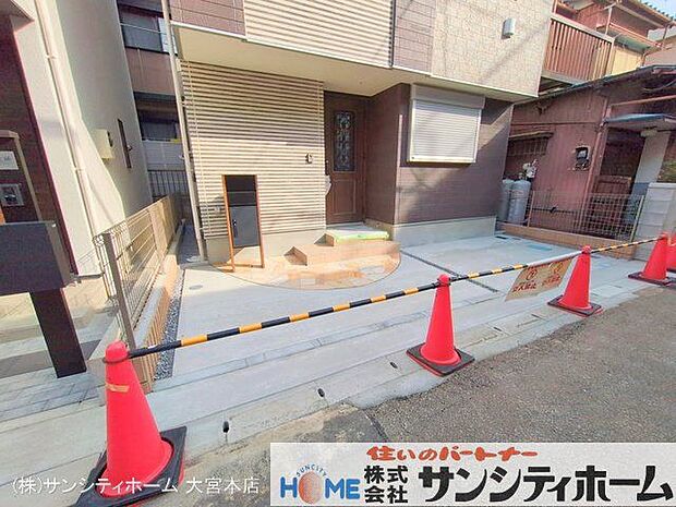 撮影日(2025-03-14 00:00:00)