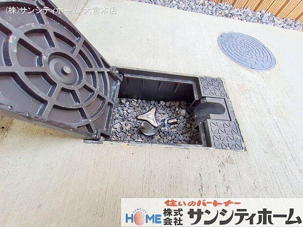 撮影日(2025-03-14 00:00:00)