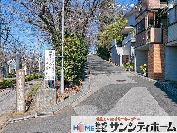 川口市立芝中学校 撮影日(2021-02-17) 1300m