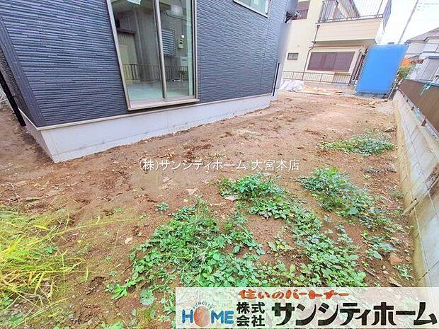 撮影日(2025-11-14 00:00:00)