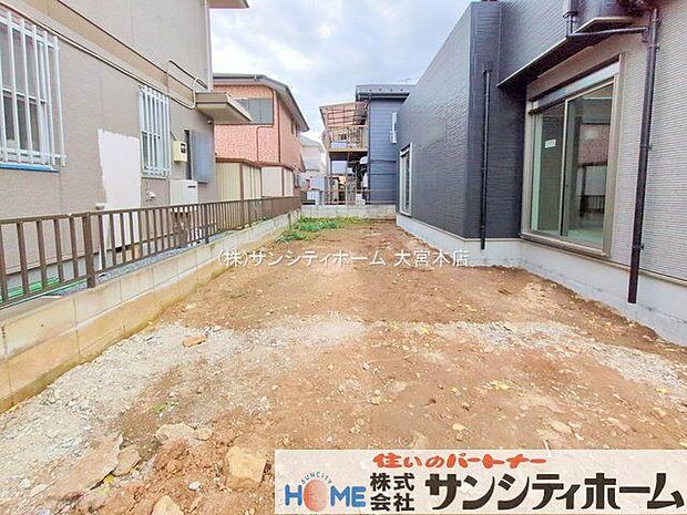 撮影日(2025-11-14 00:00:00)