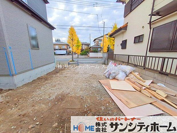 撮影日(2025-11-14 00:00:00)