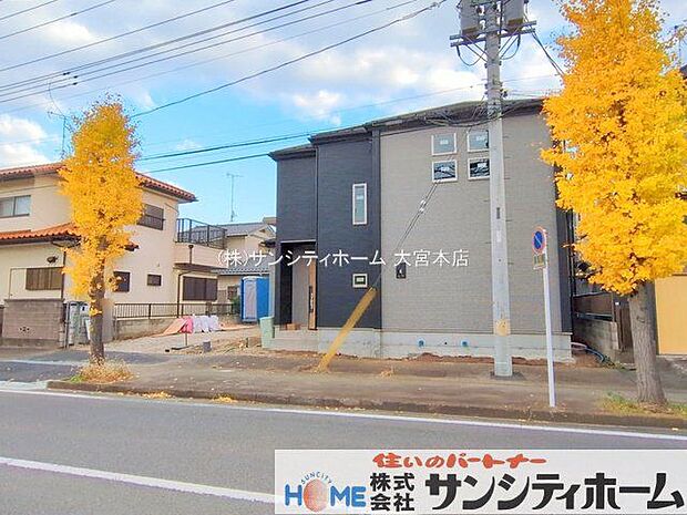 撮影日(2025-11-14 00:00:00)