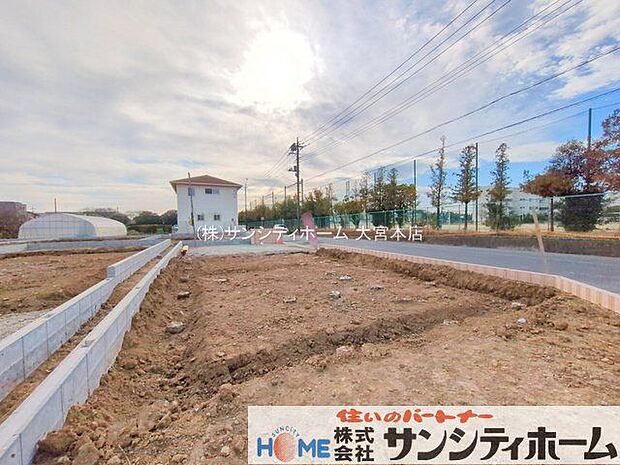 撮影日(2025-12-11 00:00:00)