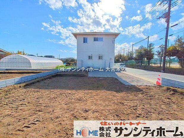 撮影日(2025-11-20 00:00:00)