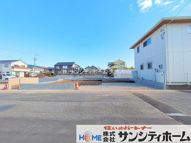 撮影日(2025-11-20 00:00:00)