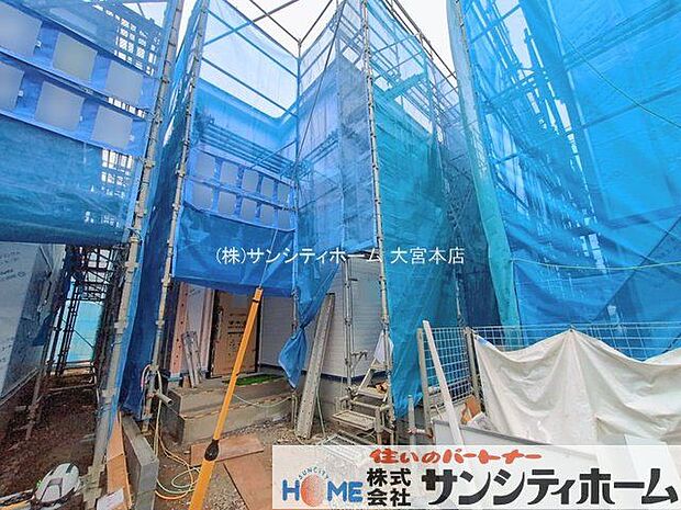 撮影日(2026-02-17 00:00:00)