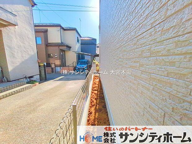 撮影日(2025-11-17 00:00:00)