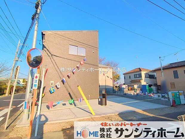 撮影日(2025-11-20 00:00:00)