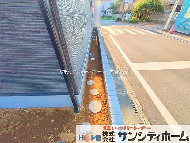 撮影日(2025-11-20 00:00:00)