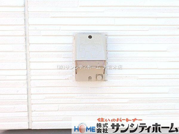 撮影日(2025-07-25 00:00:00)