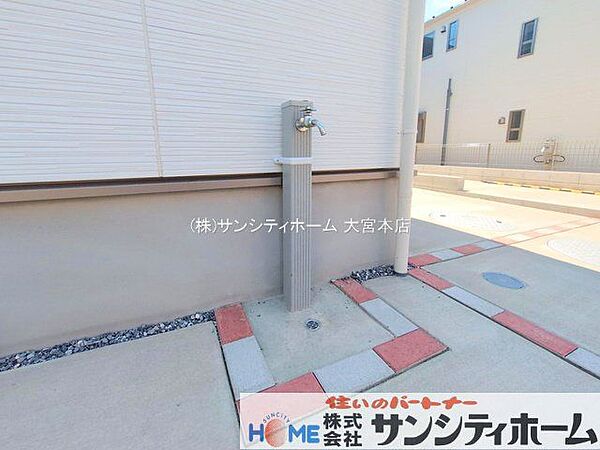 撮影日(2025-07-25 00:00:00)