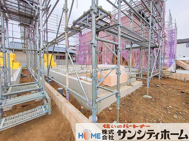 撮影日(2025-12-03 00:00:00)