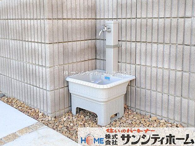 撮影日(2026-01-05 00:00:00)