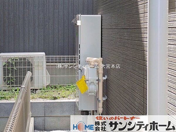 撮影日(2026-06-10 00:00:00)