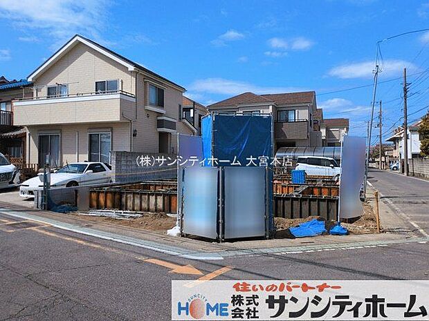 撮影日(2026-03-16 00:00:00)