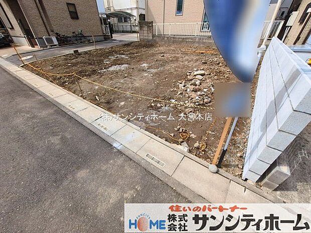 撮影日(2026-03-13 00:00:00)