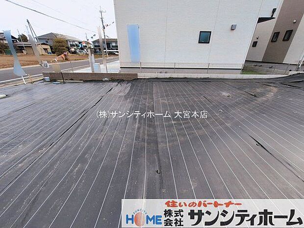 撮影日(2026-03-09 00:00:00)